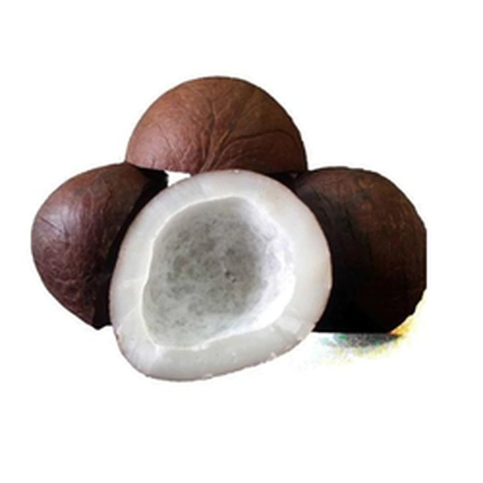 Dry Coconut Half 1 Pcs