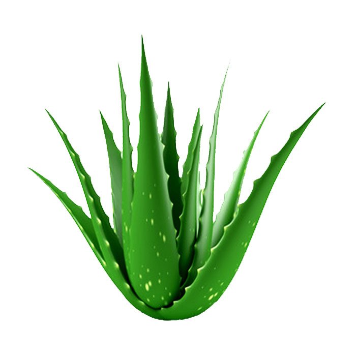 Aloevera Lb